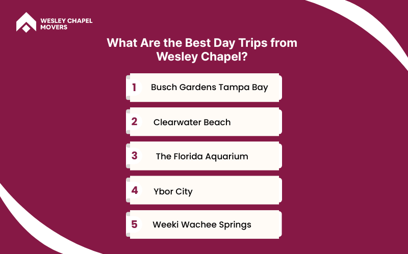 What Are the Best Day Trips from Wesley Chapel