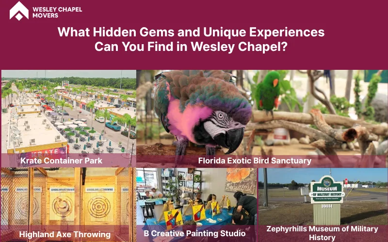 What Hidden Gems and Unique Experiences Can You Find in Wesley Chapel