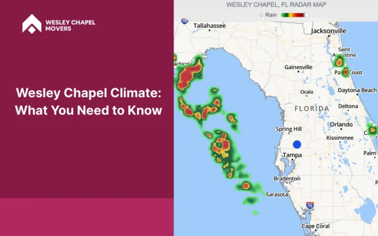 Wesley Chapel Climate- What You Need to Know