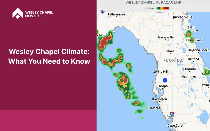 Wesley Chapel Climate- What You Need to Know