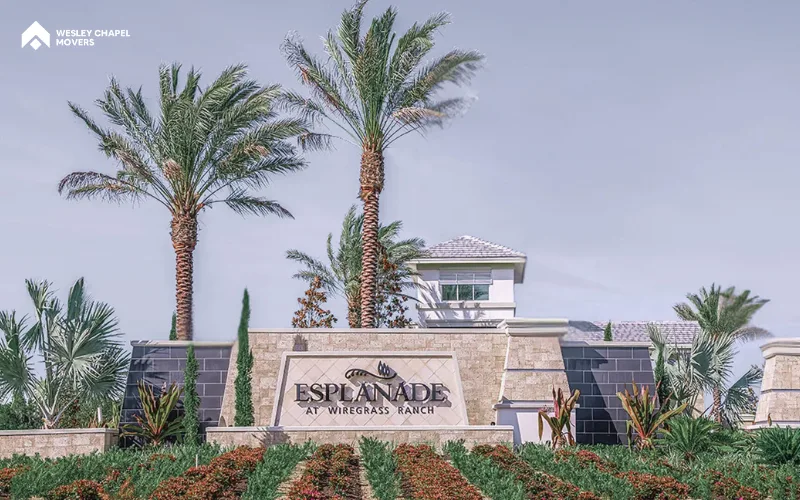 esplanade at wiregrass ranch