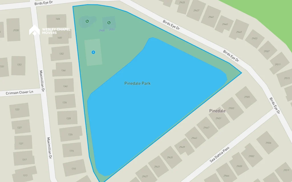 Pinedale Park – A Hidden Gem for Peace and Quiet