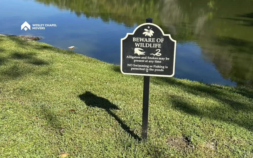 Seven Oaks Nature Trail – A Peaceful Retreat for Nature Lovers