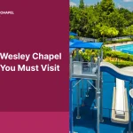 Top 8 Wesley Chapel Parks You Must Visit