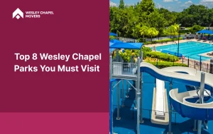 Top 8 Wesley Chapel Parks You Must Visit
